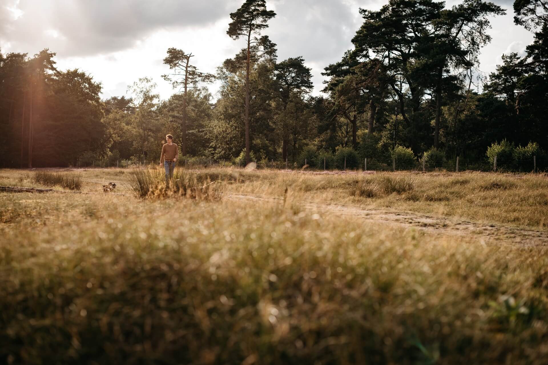 wandelcoaching natuur